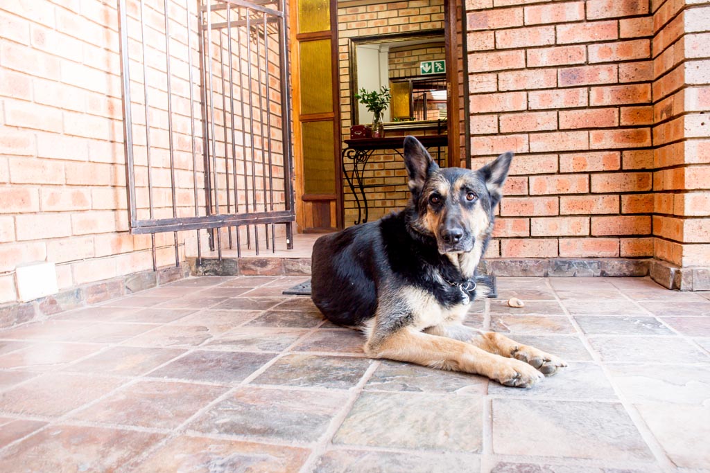 Amity Guesthouse garden and grounds